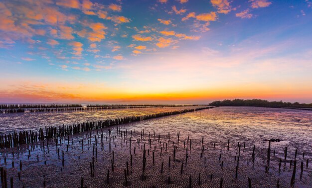 Wonderful sea The beach at sunset at low tide Golden hour sunset Sunlight Reflection in Water