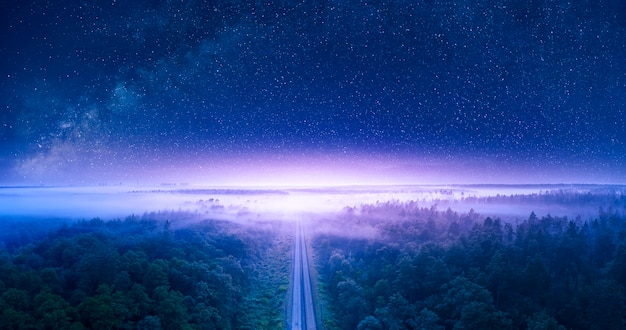 素晴らしい夏の夜の風景、星空、松林、鉄道が走っています。神秘的または魔法の雰囲気。