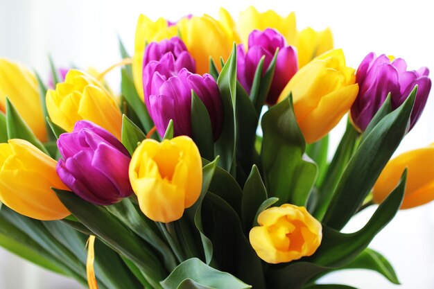 Photo wonderful tulip bouquet bright closeup macro photo