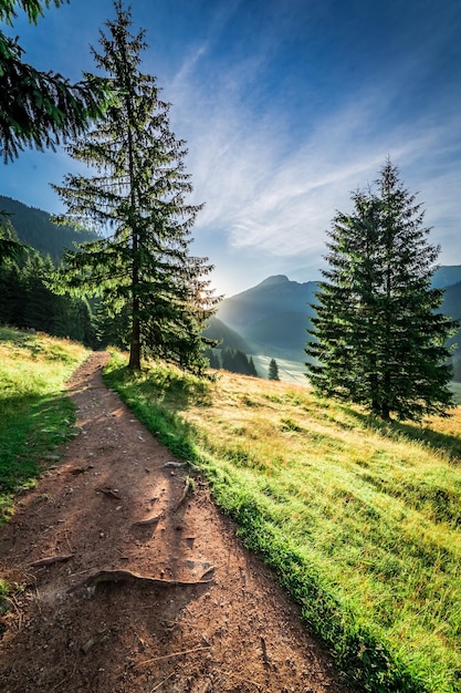 Wonderful valley in Tatra Mountains at dawn in summer