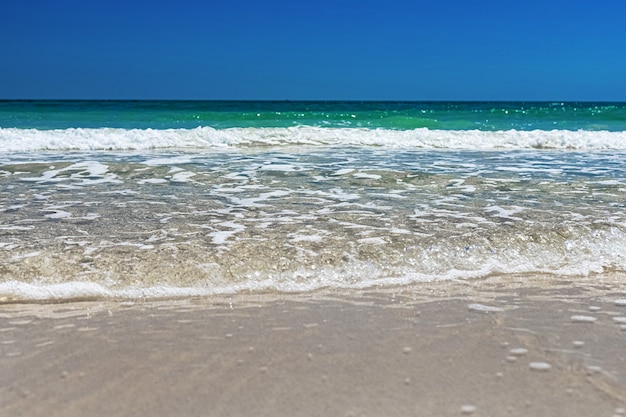 Wonderful view of the beach