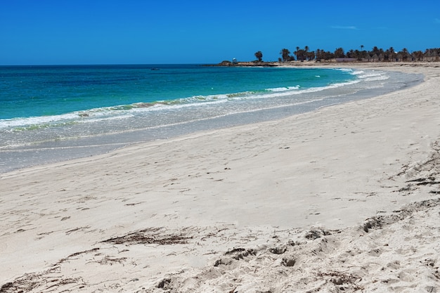 Foto splendida vista sulla spiaggia