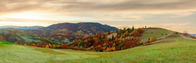 日光の下で輝く山々の素晴らしい景色ドラマチックな朝のシーンカルパティア国立公園シネヴィルがウクライナを通過ヨーロッパ芸術的な写真美しさの世界暖かい調子を整える効果