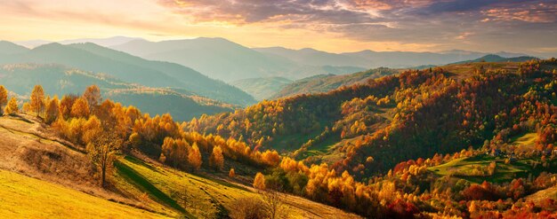 Wonderful view of the mountains that glow under the sunlight Dramatic morning scene Carpathian national park Synevyr pass Ukraine Europe Artistic picture World of beauty Warm toning effect