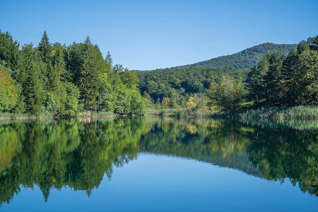 Wonderful view of the Plitvice Lakes National Park Croatia Central Europe travel and nature concept