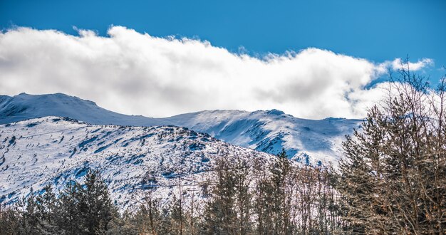 Viste meravigliose abbelliscono il fondo di una scena della montagna della neve dell'inverno