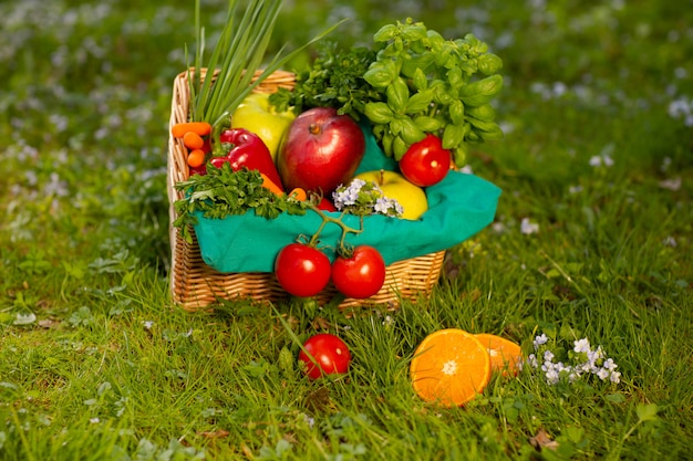 A wonderful wicker basket with vegetables and fruits on the background of green grass