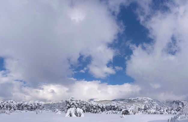 Wonderful winter with lots of snow and snow drifts in a Greek village on the island of Evia Greece