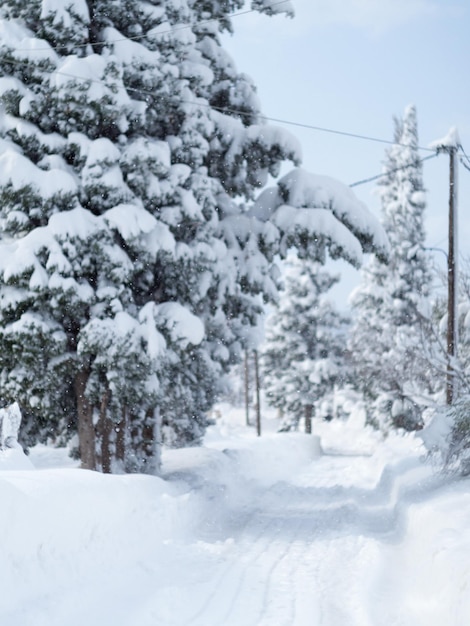 エヴィア島ギリシャのギリシャの村で雪と雪の吹きだまりがたくさんある素晴らしい冬