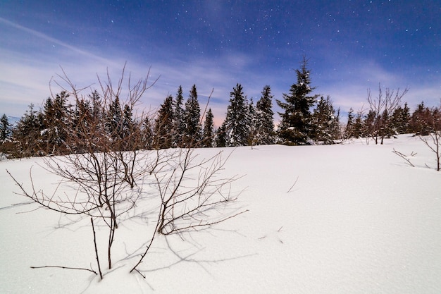 晴れた日の素晴らしい冬の風景日光の下で雪をかぶった山のある冬の風景人気のハイキングや旅行の場所冬のワンダーランド見事な自然の背景カルパティア山脈