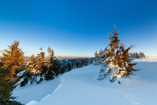 晴れた日の素晴らしい冬の風景日光の下で雪をかぶった山のある冬の風景人気のハイキングや旅行の場所冬のワンダーランド見事な自然の背景カルパティア山脈