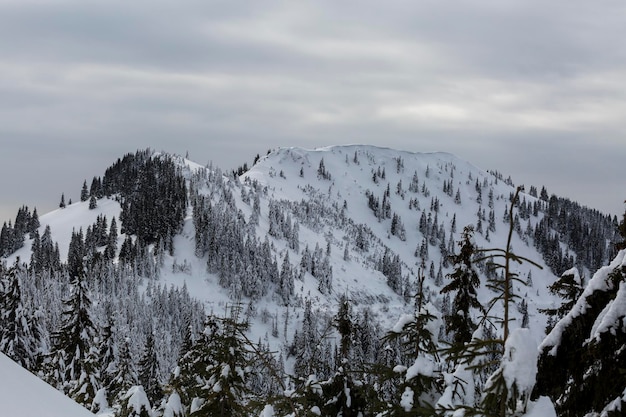 Wonderful wintry landscape of Marmaros the Carpathians