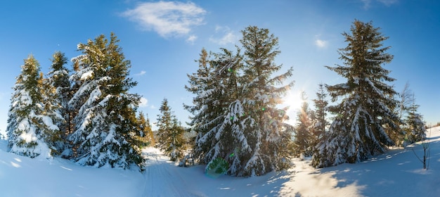 Wonderfully majestic winter landscape glowing by sunlight wintry scene Carpathian Ukraine Europe Beauty world Happy New Year