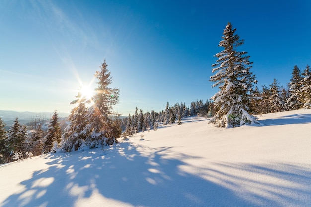 Wonderfully majestic winter landscape glowing by sunlight\
wintry scene carpathian ukraine europe beauty world happy new\
year