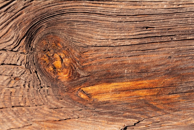 Foto età del legno