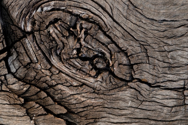 Wood background texture, abstract