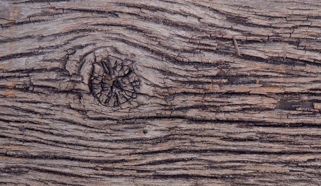 Wood background texture, abstract