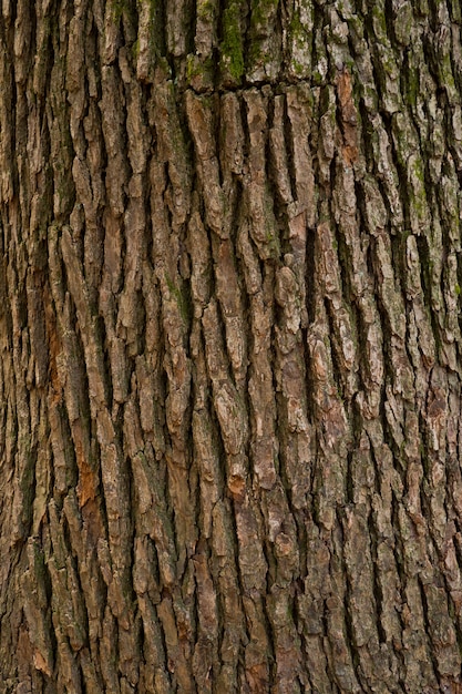 wood background texture, abstract,