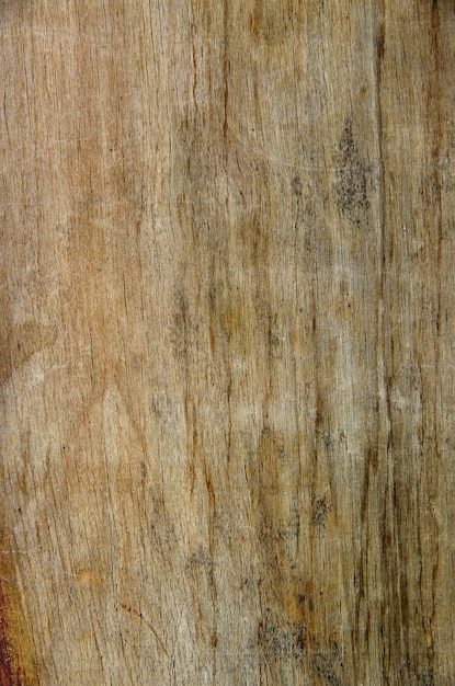 Wood background with space for text