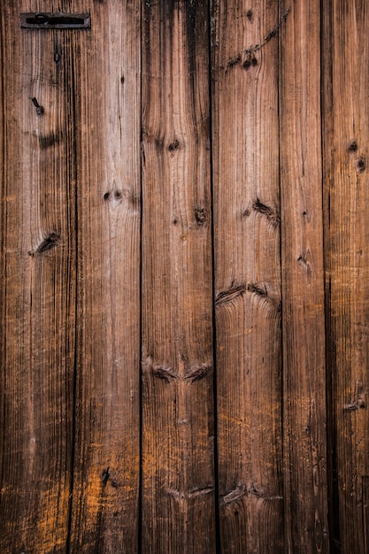 Photo wood background