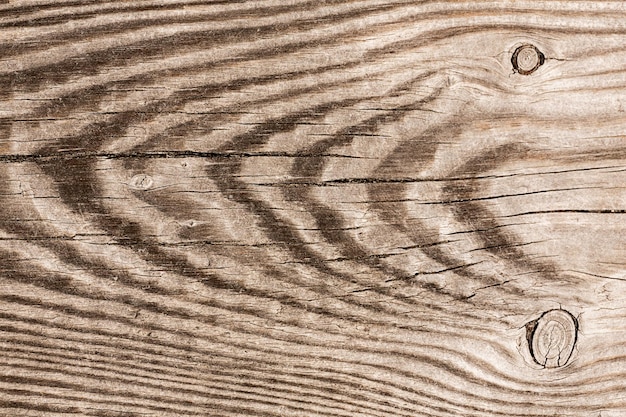 Wood background