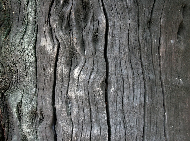 Foto sfondo di legno