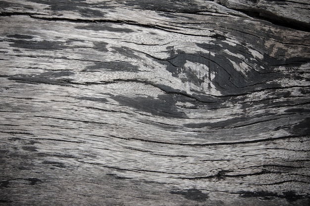 Wood background