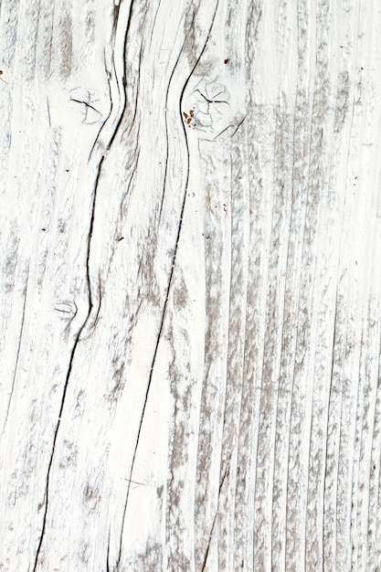 Wood Background