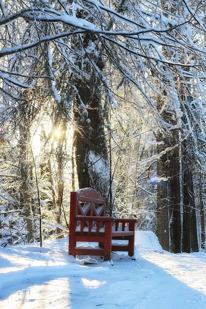 wood bench in winter