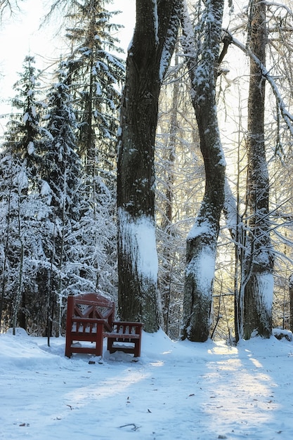 Wood bench in winter