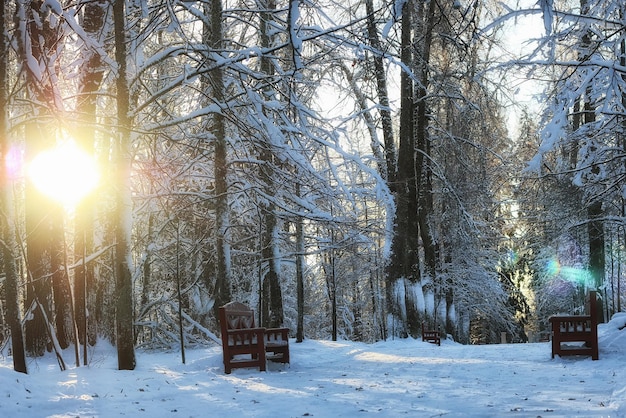 Wood bench in winter