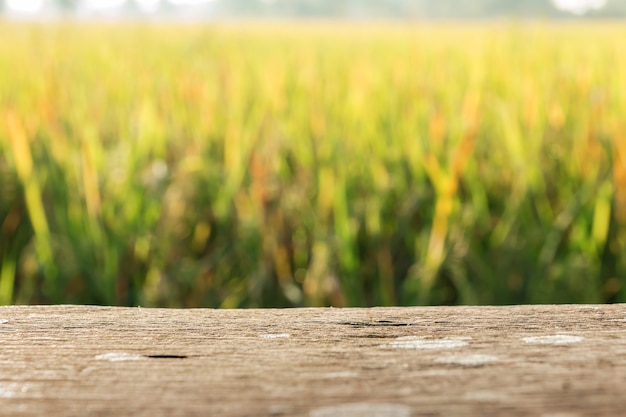 Wood board with blur field rice background