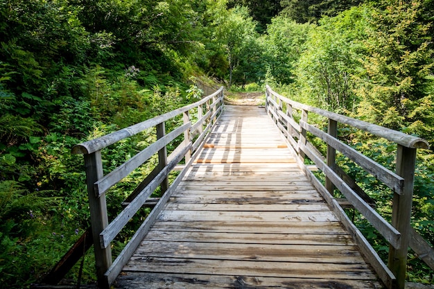 Wood bridge in a fir forest. La clusaz, Haute-savoie, France