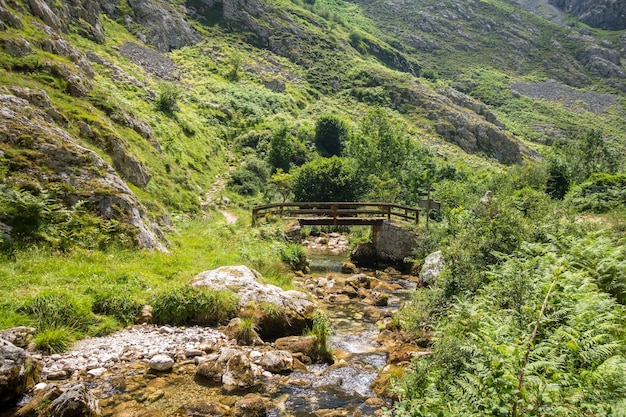 Wood bridge in Picos de Europa Asturias Spain