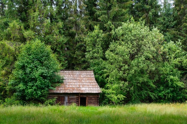 Wood cabin in the forest