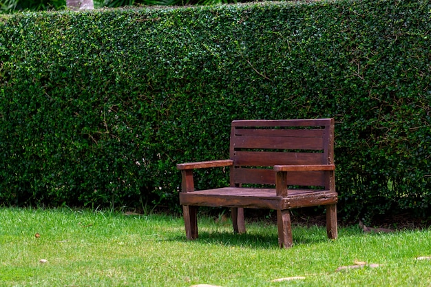 wood chair on green grass background.