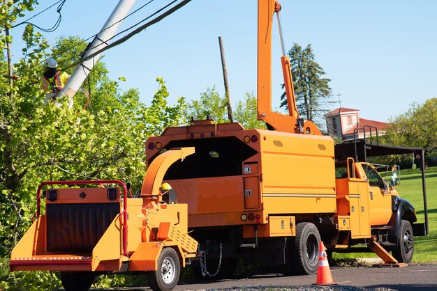 Wood chipper machine releasing the shredded woods into a truck tree