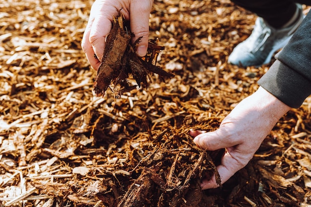 wood chips mulching composting.