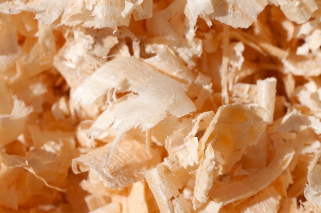 Wood chips and sawdust texture