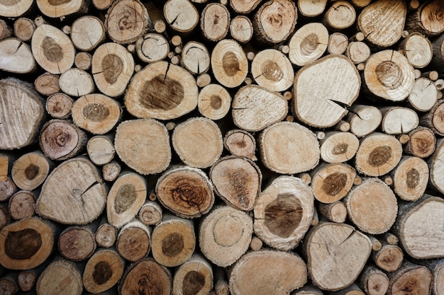 Wood circles pattern of cutted tree trunks.