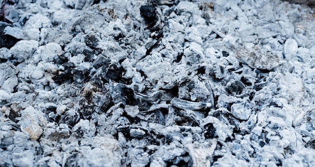 Wood coal and ash texture