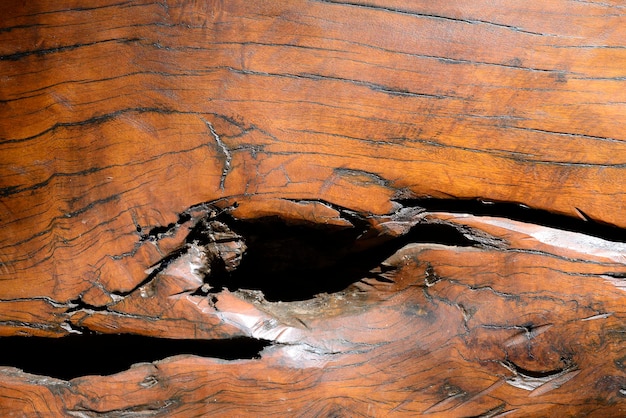 Wood Crack