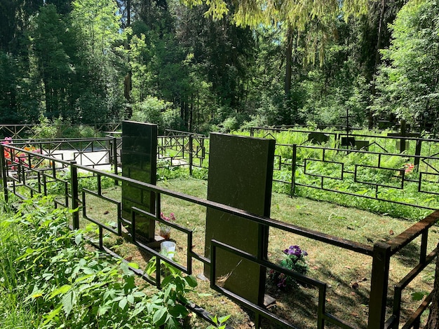 Wood crosses on graves in cemetery in summer cemetery in the green forest grave unknown monuments on the field