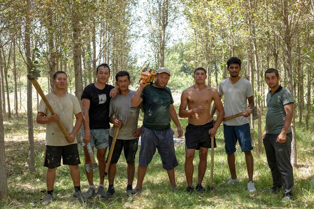 Foto un taglialegna in un terreno forestale