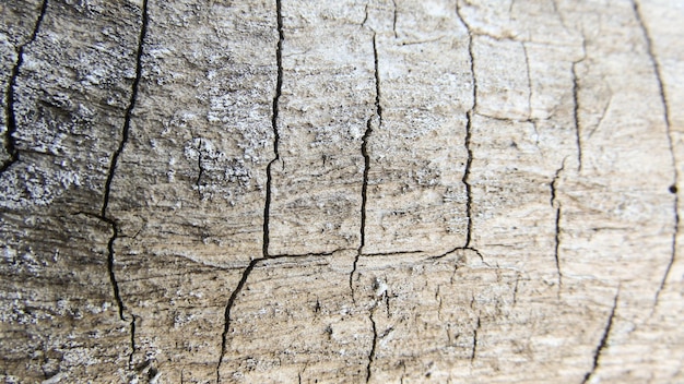 Wood fiber wood stock photo