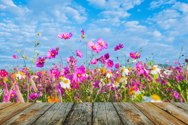 Photo wood floor on the cosmos flower of grassland