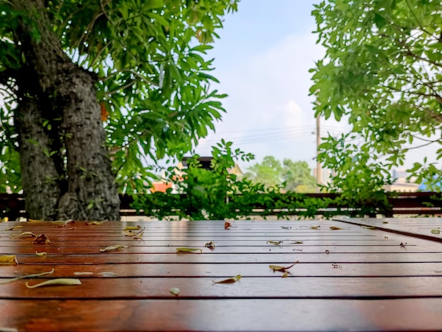 Wood floor with blurred trees of nature and sky background