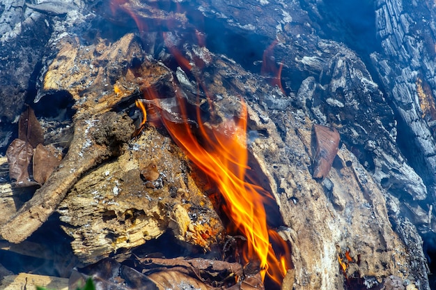 燃えている木くず、庭での違法な燃え尽き。山火事の概念