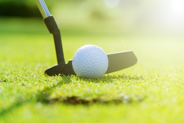 Wood golf with a golf ball on the green grass.