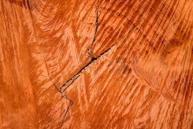 Wood grain texture of  tree stump with cracks in brown tone for background